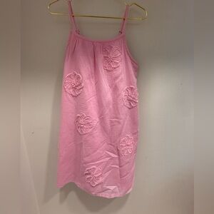 Abercrombie Kids Pink Dress with Floral Appliques